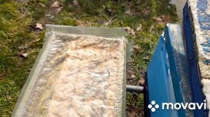 СКОРО ВЕСНА 7.02.2026🐝🌿#пчелы #пчеловодство #пасека #хобби