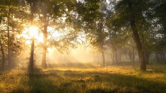 Проснись.mp4