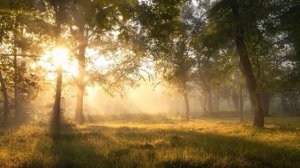 Проснись.mp4