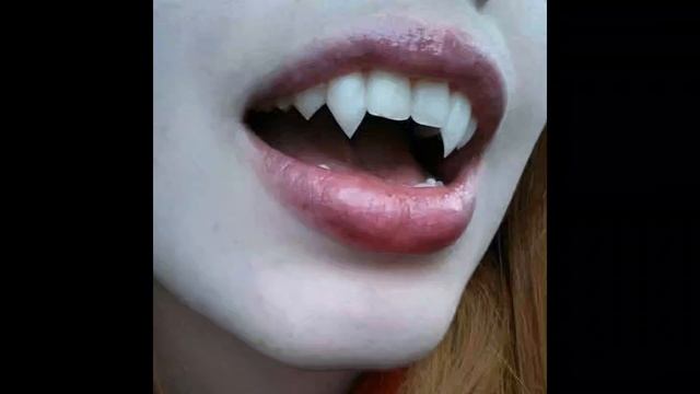 1000000443.mp4 смотреть онлайн