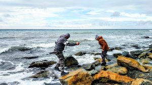 Игры с морем, прогулка вдоль берегов Анапы