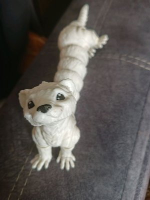 Трансляция💋 Вместе с ХелЛи💍🦦❤