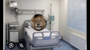 лева оправился к мою больницу! 🫶✨