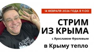 Стрим из Крыма с Ярославом Фроловым 14 февраля 2026 года