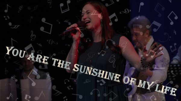 Stevie Wonder - "You Are the Sunshine"