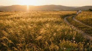 Шансон песни для любимых 14 февраля день Святого Валентина @Музыкадлядуши-1