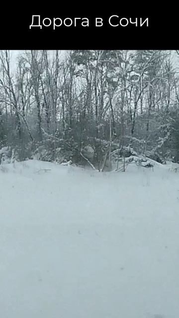 Дорога в Сочи