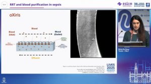 RRT and blood purification in sepsis Silvia De Rosa