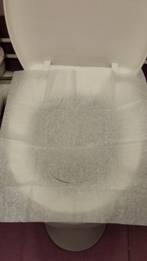 Как правильно пользоваться индивидуальным туалетным покрытием на унитаз!