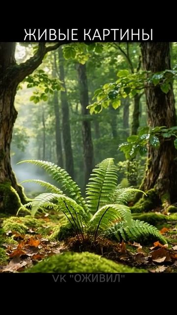 Оживляем лесные пейзажи русских художников