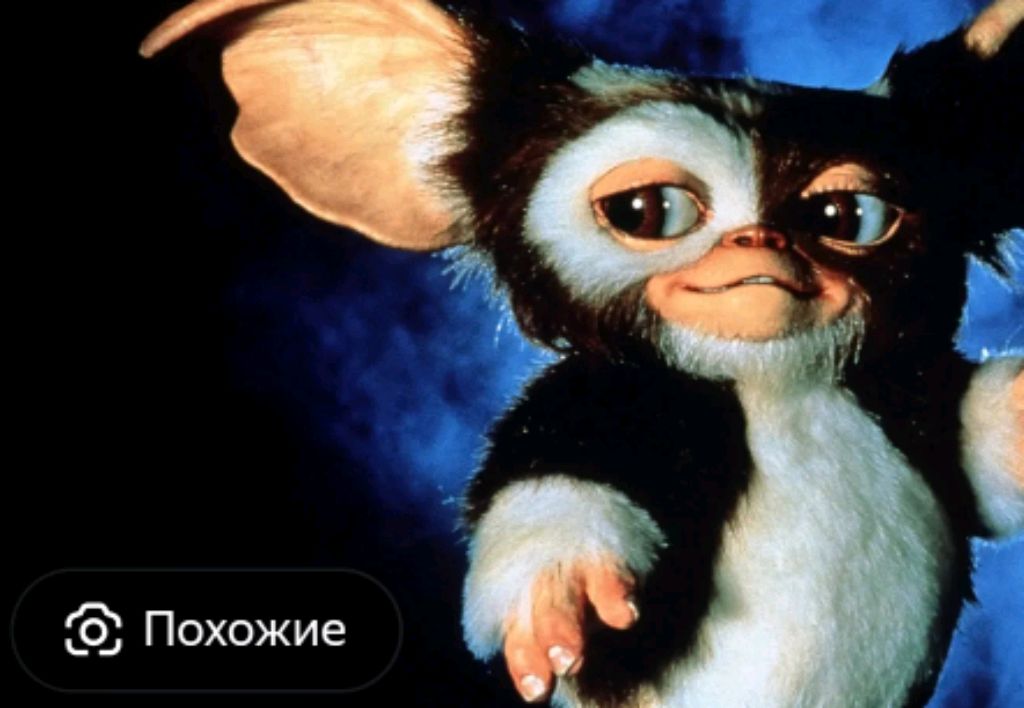 CS GO counter-strike 2024 год смотреть онлайн