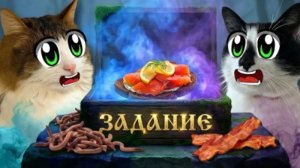 Челендж с котами ! Кто выиграет ?
