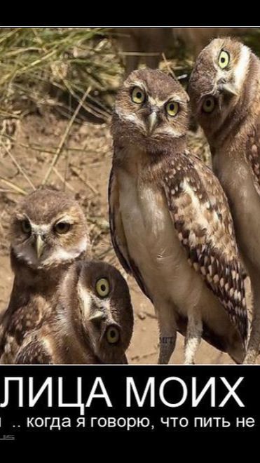 Абедать будем.!😆 смотреть онлайн