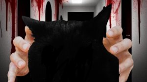 Обновлённый тридцатифазовый шаблон жутких лиц Шмяка. Брать разрешаю ✅