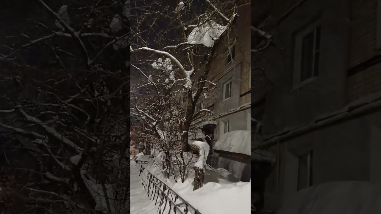 А у нас всё снег #россия #арзамас