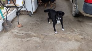 .Герда впереди планеты всей