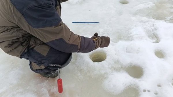 VID_20260214_191141_546