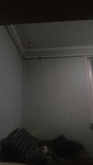 желаю колонки и разговариваю