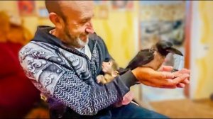 Стёпа и Маня ЗНАКОМЯТСЯ с вороной Варей! Варе ОЧЕНЬ ПОНРАВИЛСЯ Минин хвост)))