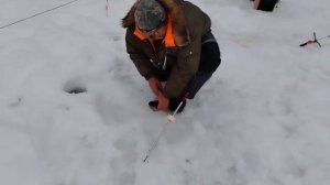 14.02.26 г. РК Волна.