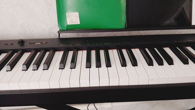 Rish E обучение