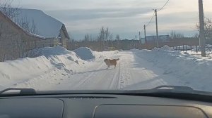 Болталка по дороге/ Концерт в ДК/ Диана расскажет стих на конкурсе чтецов.