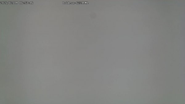 LIVE: channel43489494