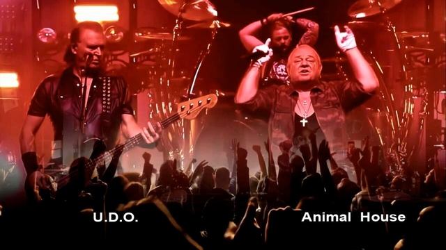 Animal House смотреть онлайн