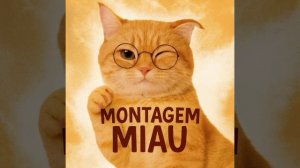 MOTAGEM MIAU