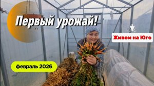14-02. Первый урожай!!! Весь день в саду и огороде. Редиска взошла.