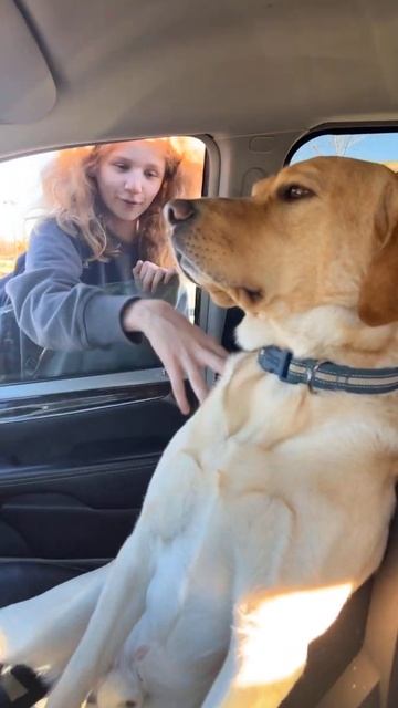 Такой концовки я и сам не ожидал (210) смотреть онлайн