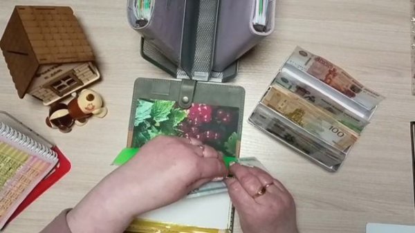 С новыми идеями/ распределение денег по конвертам/ 17 650 ₽ + донаты +/ 14.02.26