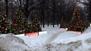 Синоптики прогнозируют возвращение зимы в столичный регион на следующей неделе.