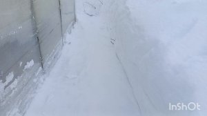 /141/ Жизнь в деревне.Настряпала к чаю.Заваливает снегом.