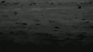 Sytong MM06-50 LRF: Зайцы в поле