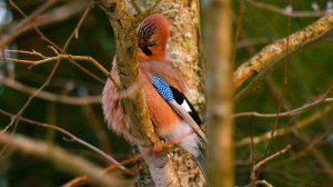 Дикие выходные с Павлом Глазковым. 14 февраля