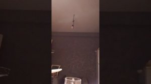 нет нам защитника, кроме АЛЛАГЬА Единого ❤️