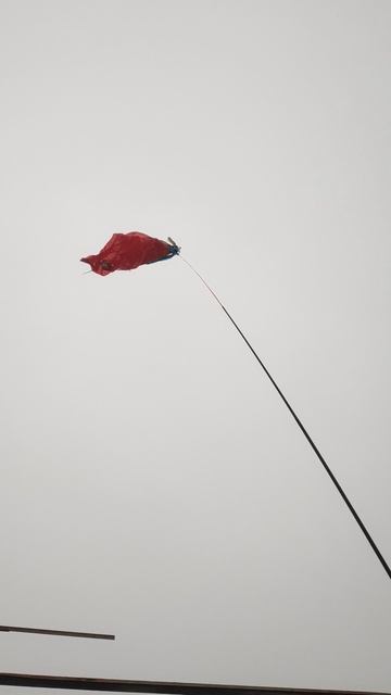 VID_20260214_125439.mp4