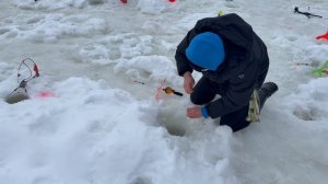 Поимки форели !!!