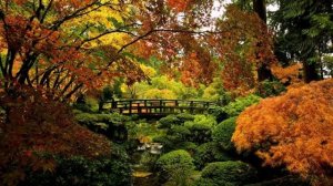 Стас Жандаров - В золотых садах