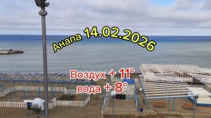 Анапа 14.02.2026 "Высокий берег"