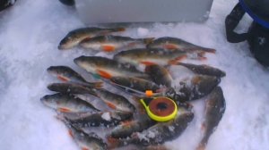 Сегодня порыбачил на мормышку с пучком мотыля🎣 Пробурил серию лунок.