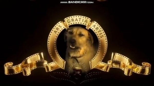 Заставка MGM вместо льва, собака