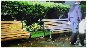 14-02-2026 " Эхо любви" Анна Герман