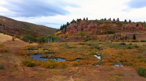 Музыка для души. Осень