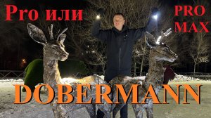 Armytek Dobermann Pro и(или) Pro Max? Отзыв спустя полгода.