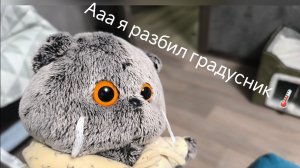 Мягкие игрушки выживают со ртутью часть 1 основано на реальных событиях.