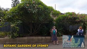 ДЕНЬ АВСТРАЛИИ В СИДНЕЕ Праздничные толпы на улицах города