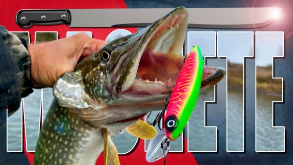 🔴 Мощный твичинг для щуки: Обзор Machete 115SP!🔥💥🔥