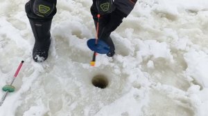 VID_20260214_191226_929